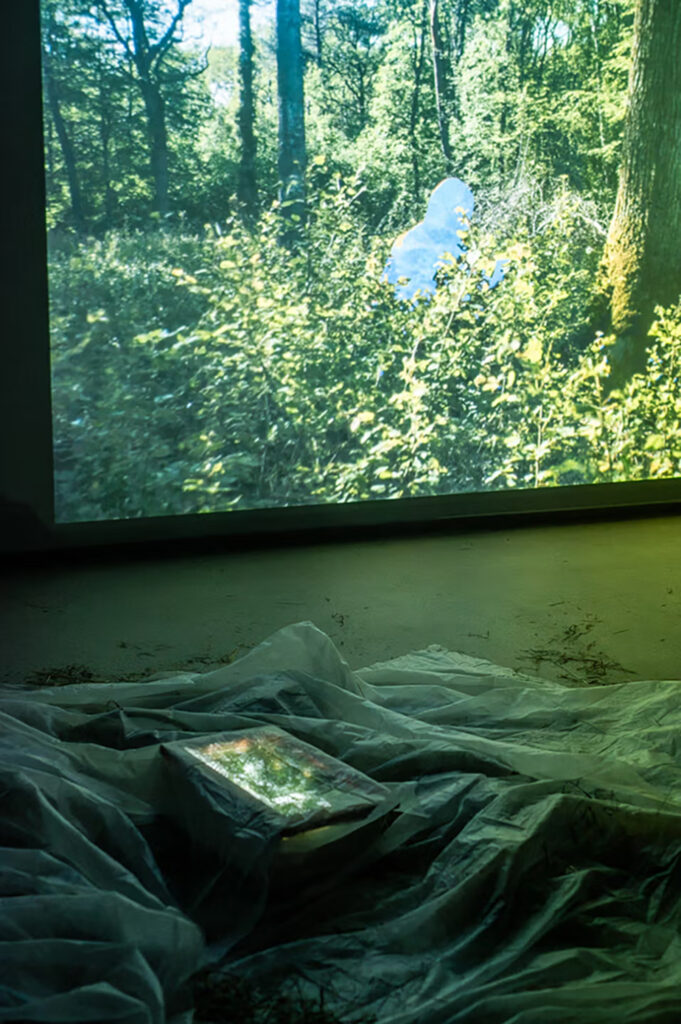 They'll always find a way, video, en cours de réalisation, 2024, quentin toso